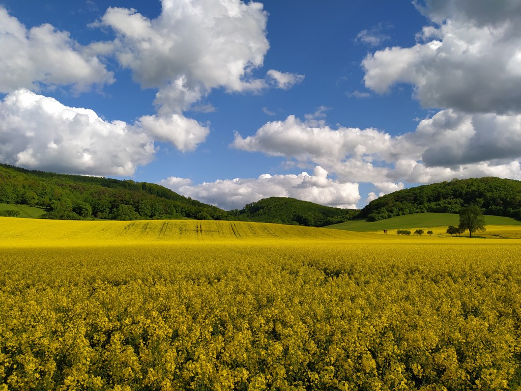 Blog: Sounds of a small&nbsp;town